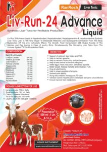 Livrun 24 Advance Liquid N